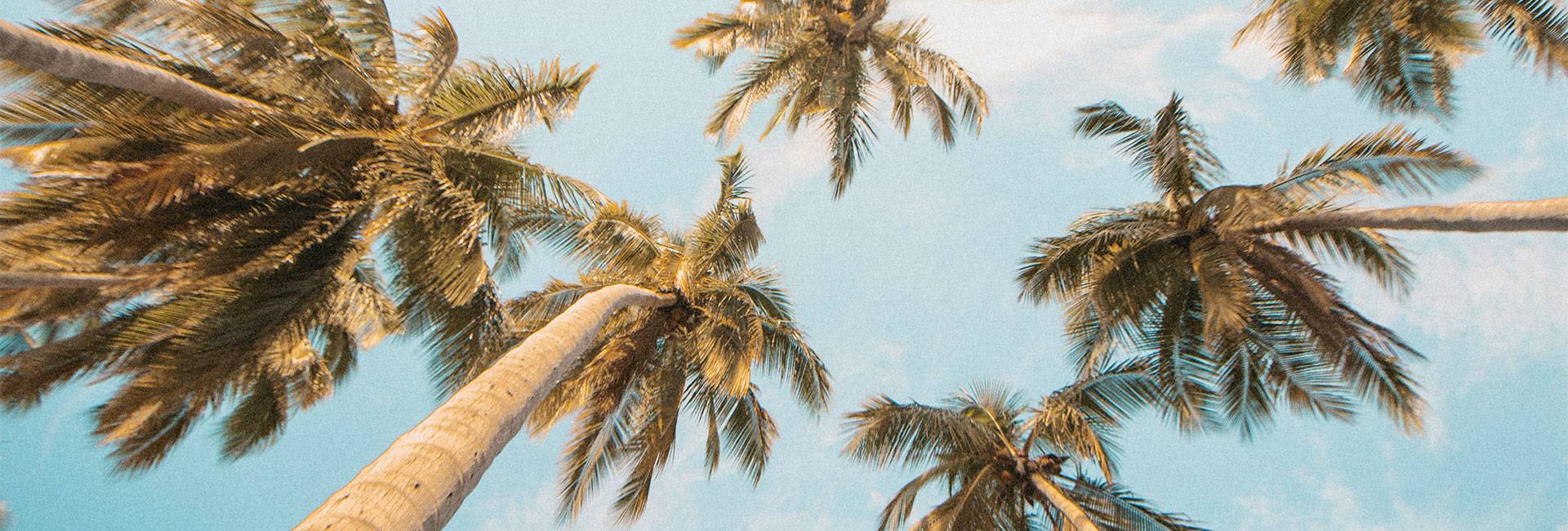 latitute margaritaville slider cl 011